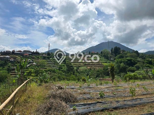 Tanah Dijual di Tabanan Seluas 300m2 Strategis Tanah Dijual di Tabanan Seluas 300m2 Strategis