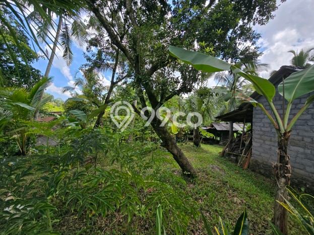 Kavling Tanah Dijual di Penebel, Tabanan, Luas 1540m2 Area Strategis Kavling Tanah Dijual di Penebel, Tabanan, Luas 1540m2 Area Strategis