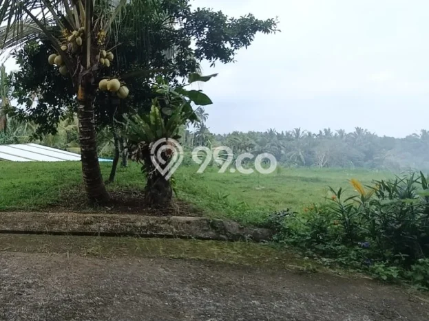 Lahan untuk Dijual di Tabanan Tabanan Luas 2740m2 Lahan untuk Dijual di Tabanan Tabanan Luas 2740m2