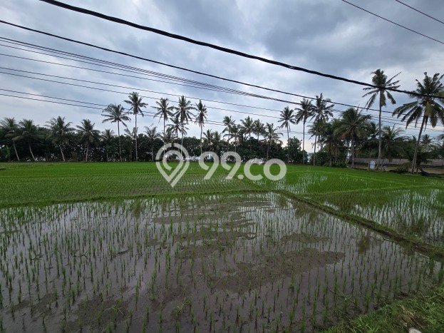 Kavling Tanah Dijual di Selemadeg Tabanan Spesifikasi 1800m2 Kavling Tanah Dijual di Selemadeg Tabanan Spesifikasi 1800m2