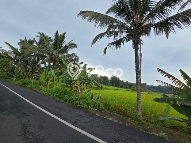 Dijual Tanah di Tabanan, Luas 3800m2 SHM Dijual Tanah di Tabanan, Luas 3800m2 SHM