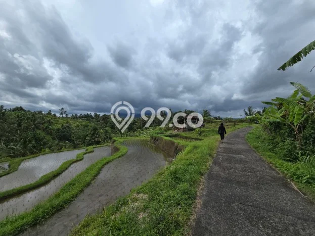 Lahan Kosong Dijual di Tabanan dengan Area 3900m2 Lahan Kosong Dijual di Tabanan dengan Area 3900m2