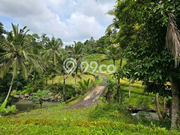 Lahan Kosong Dijual di Selemadeg, Tabanan, Luas 922m2 Area Strategis Lahan Kosong Dijual di Selemadeg, Tabanan, Luas 922m2 Area Strategis
