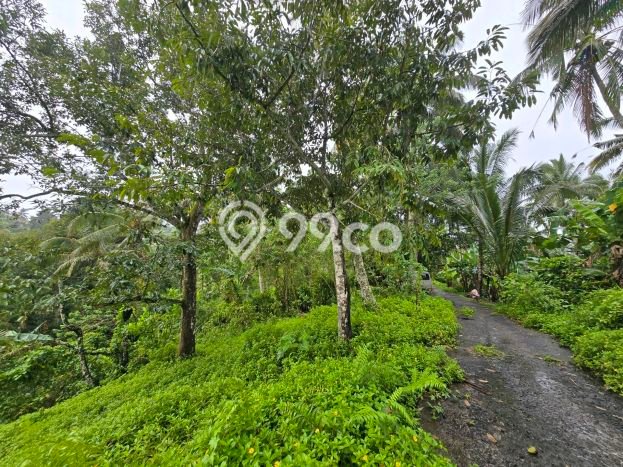 Dijual Tanah Lokasi Pupuansawah, Tabanan Seluas 7350m2 Dijual Tanah Lokasi Pupuansawah, Tabanan Seluas 7350m2
