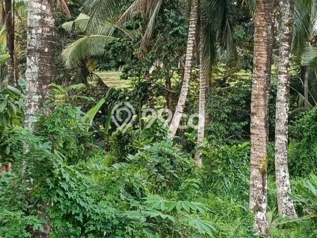 Lahan untuk Dijual di Tabanan Tabanan Luas 2740m2 Lahan untuk Dijual di Tabanan Tabanan Luas 2740m2