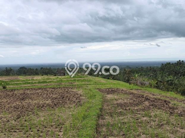 Kavling Tanah Dijual di Penebel Tabanan Spesifikasi 3200m2 Kavling Tanah Dijual di Penebel Tabanan Spesifikasi 3200m2