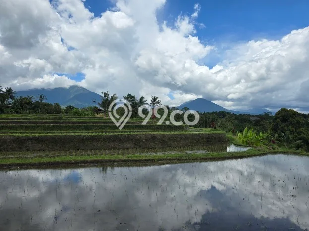 Lahan Strategis di Penebel Dijual dengan Luas 2500m2 Lahan Strategis di Penebel Dijual dengan Luas 2500m2