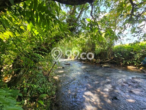Tanah di Selemadeg, Tabanan Luas 1800m2 Dijual Segera Tanah di Selemadeg, Tabanan Luas 1800m2 Dijual Segera