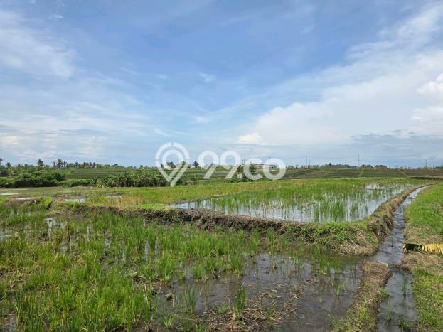 Tanah Dijual Lokasi Kerambitan, Tabanan Luas 700m2 Legalitas Aman Tanah Dijual Lokasi Kerambitan, Tabanan Luas 700m2 Legalitas Aman