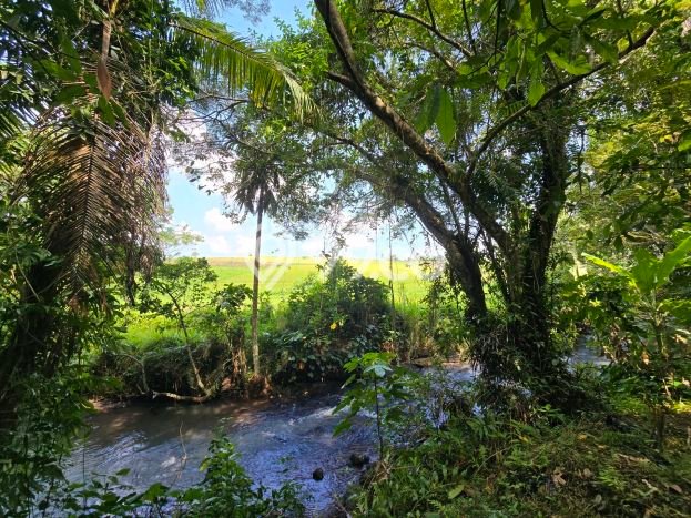 Tanah di Selemadeg, Tabanan Luas 1800m2 Dijual Segera Tanah di Selemadeg, Tabanan Luas 1800m2 Dijual Segera