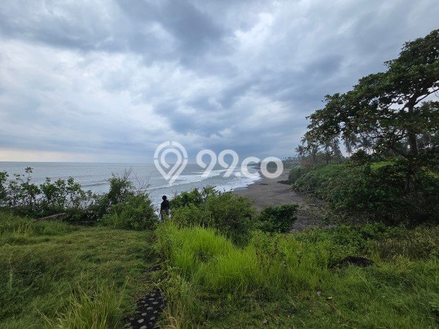 Tanah untuk Dijual di Selemadeg Tabanan Luas 16300m2 Tanah untuk Dijual di Selemadeg Tabanan Luas 16300m2