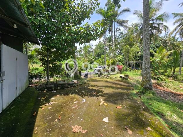 Lahan Kosong Dijual di Kerambitan, Tabanan, Luas 1200m2 Area Strategis Lahan Kosong Dijual di Kerambitan, Tabanan, Luas 1200m2 Area Strategis