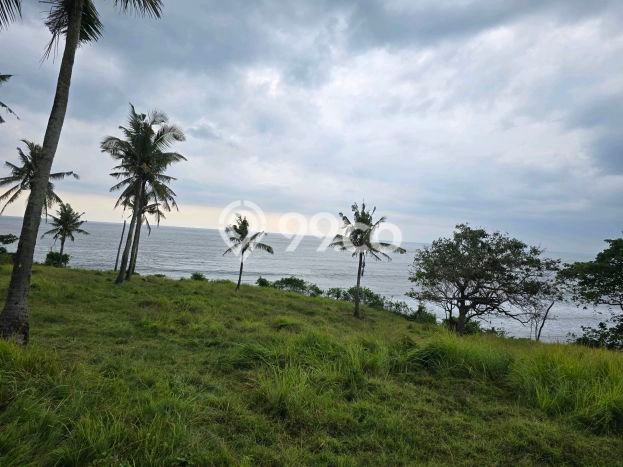 Tanah untuk Dijual di Selemadeg Tabanan Luas 16300m2 Tanah untuk Dijual di Selemadeg Tabanan Luas 16300m2