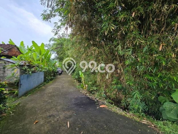Jarang Ada! Tanah di Kerambitan Punya Luas 1100m2 SHM Jarang Ada! Tanah di Kerambitan Punya Luas 1100m2 SHM