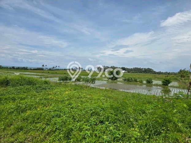 Lahan Dijual Lokasi Kerambitan, Tabanan dengan Luas Tanah 150m2 dan Status SHM Lahan Dijual Lokasi Kerambitan, Tabanan dengan Luas Tanah 150m2 dan Status SHM