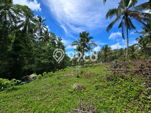 Tanah Kavling di Penebel Dijual dengan Luas 13000m2 Tanah Kavling di Penebel Dijual dengan Luas 13000m2