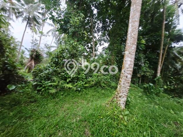 Lahan untuk Dijual di Kerambitan Tabanan Luas 1300m2 Lahan untuk Dijual di Kerambitan Tabanan Luas 1300m2
