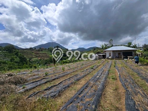 Tanah Dijual di Tabanan Seluas 300m2 Strategis Tanah Dijual di Tabanan Seluas 300m2 Strategis