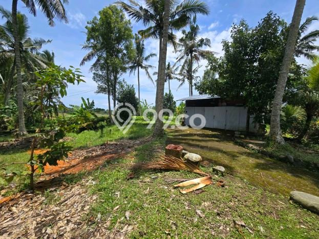 Lahan Kosong Dijual di Kerambitan, Tabanan, Luas 1200m2 Area Strategis Lahan Kosong Dijual di Kerambitan, Tabanan, Luas 1200m2 Area Strategis