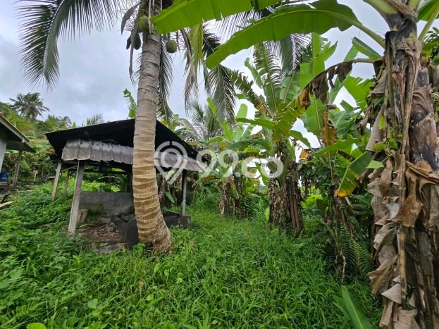 Tanah Komersial Dijual di Selemadeg Tabanan 300m2 Tanah Komersial Dijual di Selemadeg Tabanan 300m2