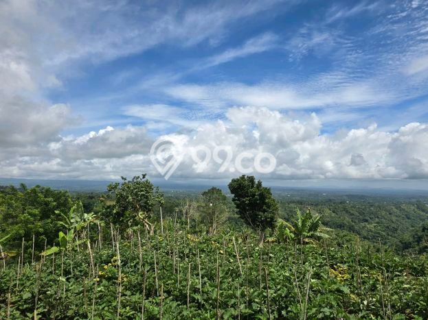 Tanah Dijual di Tabanan Seluas 300m2 Strategis Tanah Dijual di Tabanan Seluas 300m2 Strategis