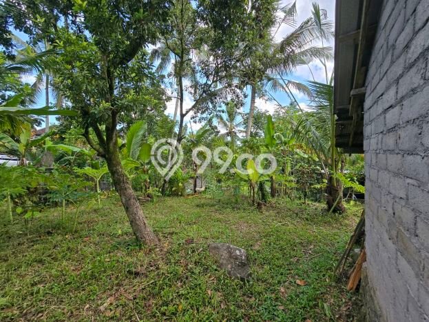 Kavling Tanah Dijual di Penebel, Tabanan, Luas 1540m2 Area Strategis Kavling Tanah Dijual di Penebel, Tabanan, Luas 1540m2 Area Strategis
