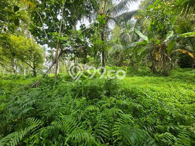 Tanah Kavling untuk Dijual di Selemadeg Tabanan 1700m2 Tanah Kavling untuk Dijual di Selemadeg Tabanan 1700m2