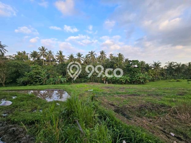 Lahan untuk Dijual di Selemadeg Tabanan Luas 1800m2 Lahan untuk Dijual di Selemadeg Tabanan Luas 1800m2