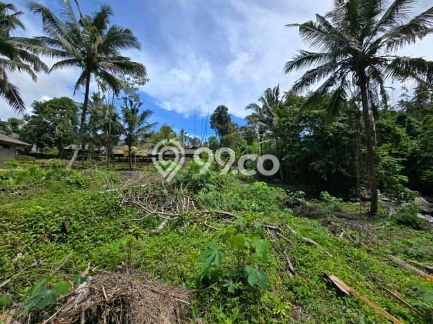 Tanah Kavling di Penebel Dijual dengan Luas 13000m2 Tanah Kavling di Penebel Dijual dengan Luas 13000m2
