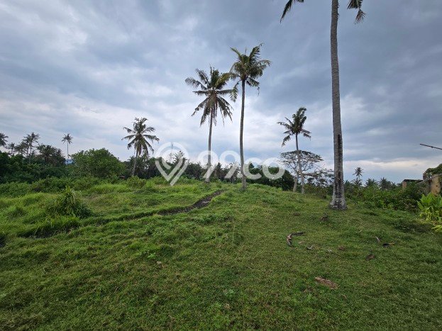 Tanah untuk Dijual di Selemadeg Tabanan Luas 16300m2 Tanah untuk Dijual di Selemadeg Tabanan Luas 16300m2
