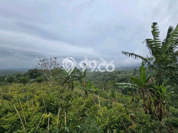 Tanah Kavling untuk Dijual di Baturiti Tabanan 1500m2 Tanah Kavling untuk Dijual di Baturiti Tabanan 1500m2