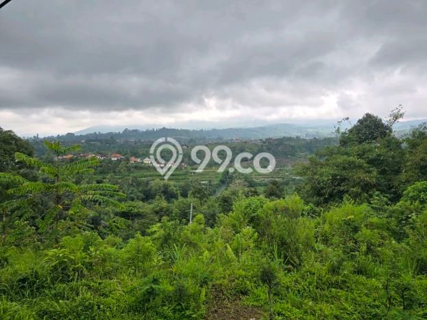 TANAH PROSPEKTIF! Tanah di Baturiti, Luas 1700m2m², Pinggir Jalan Utama TANAH PROSPEKTIF! Tanah di Baturiti, Luas 1700m2m², Pinggir Jalan Utama