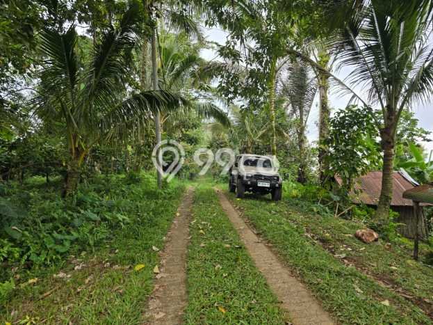 Tanah Komersial Dijual di Selemadeg Tabanan 5900m2 Tanah Komersial Dijual di Selemadeg Tabanan 5900m2