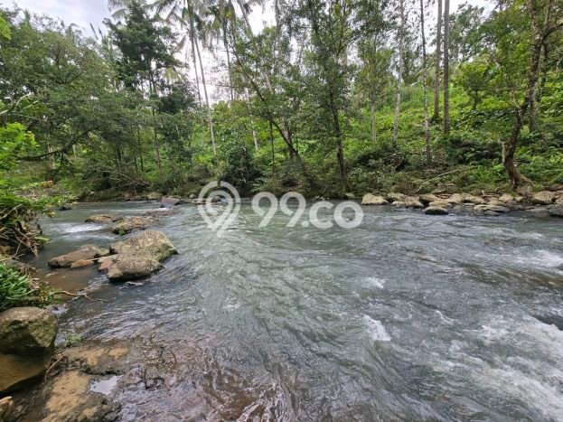 Dijual Tanah di Selemadeg Tabanan Luas 4000m2 SHM Dijual Tanah di Selemadeg Tabanan Luas 4000m2 SHM