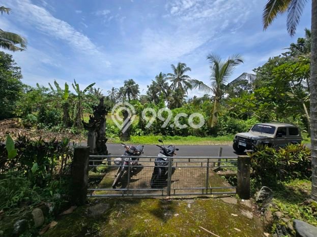 Lahan Kosong Dijual di Kerambitan, Tabanan, Luas 1200m2 Area Strategis Lahan Kosong Dijual di Kerambitan, Tabanan, Luas 1200m2 Area Strategis