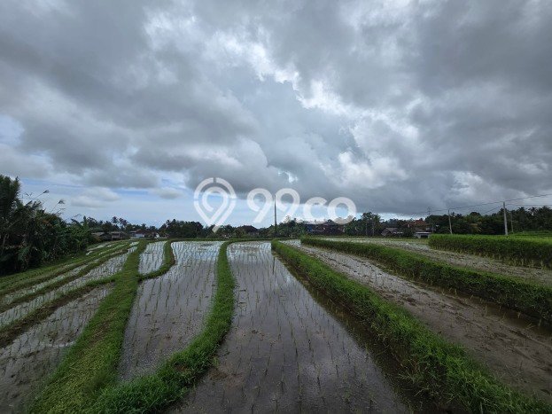 Tanah Komersial Dijual di Selemadeg Tabanan 300m2 Tanah Komersial Dijual di Selemadeg Tabanan 300m2