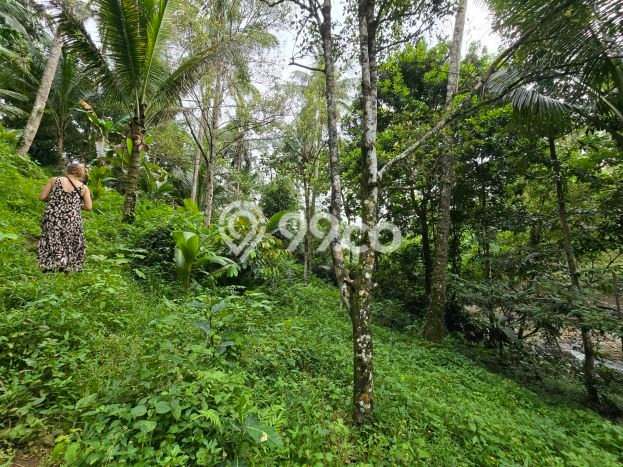 Dijual Tanah di Selemadeg Tabanan Luas 4000m2 SHM Dijual Tanah di Selemadeg Tabanan Luas 4000m2 SHM