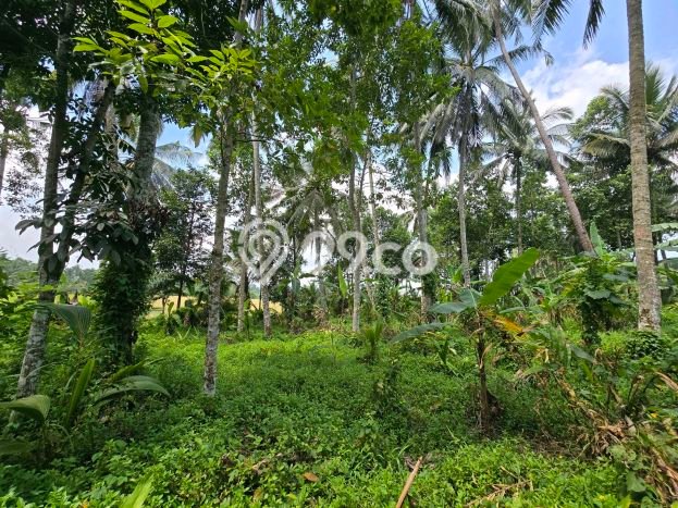 Kavling Tanah Dijual di Selemadeg, Tabanan, Luas 2400m2 Area Strategis Kavling Tanah Dijual di Selemadeg, Tabanan, Luas 2400m2 Area Strategis