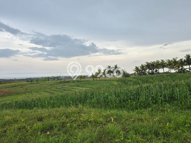 Tanah Lokasi Strategis Kawasan Selemadeg, Luas 860m2m², Dekat ke Fasilitas Umum Tanah Lokasi Strategis Kawasan Selemadeg, Luas 860m2m², Dekat ke Fasilitas Umum