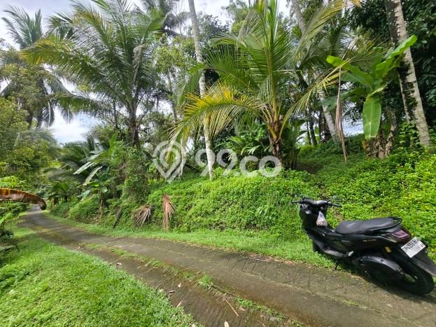 Tanah Kavling untuk Dijual di Selemadeg Tabanan 1700m2 Tanah Kavling untuk Dijual di Selemadeg Tabanan 1700m2