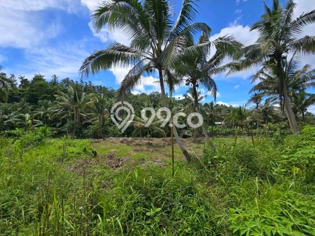 Tanah Kavling di Penebel Dijual dengan Luas 13000m2 Tanah Kavling di Penebel Dijual dengan Luas 13000m2