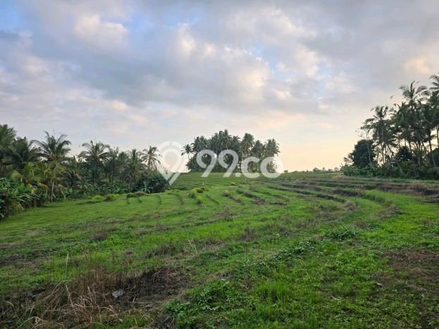 Lahan untuk Dijual di Selemadeg Tabanan Luas 1800m2 Lahan untuk Dijual di Selemadeg Tabanan Luas 1800m2