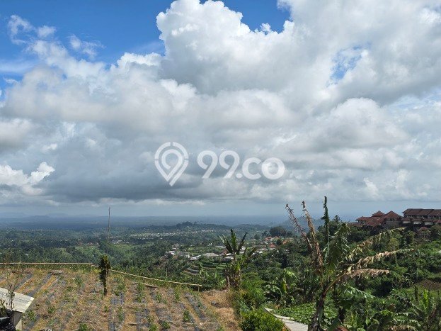 Tanah Kavling Dijual di Tabanan dengan Spesifikasi 9200m2 Tanah Kavling Dijual di Tabanan dengan Spesifikasi 9200m2