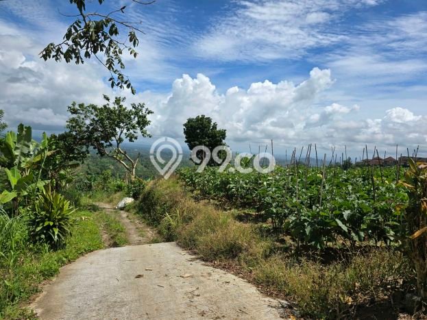 Tanah Dijual di Tabanan Seluas 300m2 Strategis Tanah Dijual di Tabanan Seluas 300m2 Strategis