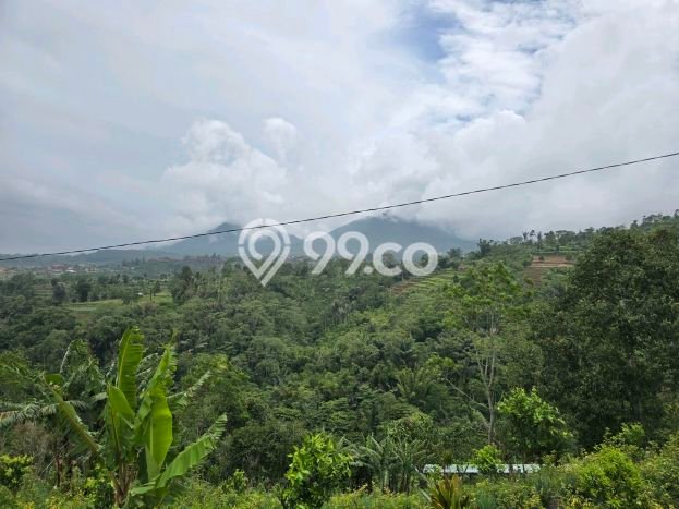 Tanah Kavling untuk Dijual di Baturiti Tabanan 1500m2 Tanah Kavling untuk Dijual di Baturiti Tabanan 1500m2