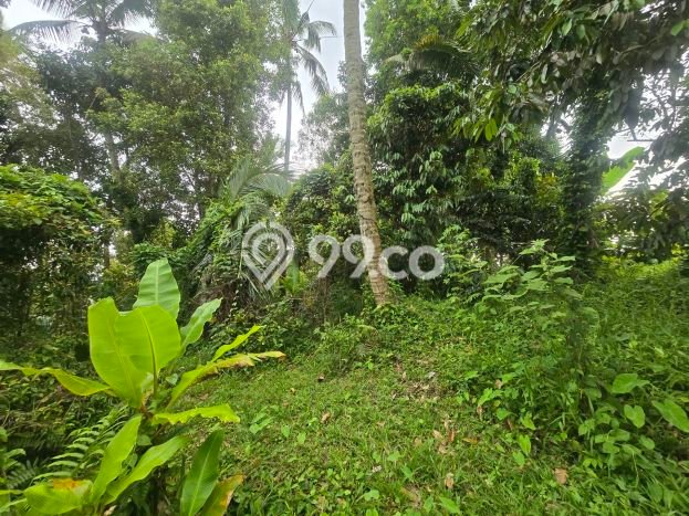 Lahan Dijual Lokasi Selemadeg, Tabanan dengan Luas Tanah 3000m2 dan Status SHM Lahan Dijual Lokasi Selemadeg, Tabanan dengan Luas Tanah 3000m2 dan Status SHM