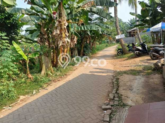 Tanah Dijual Lokasi Cisauk, Tangerang Luas 638m2 Legalitas Aman Tanah Dijual Lokasi Cisauk, Tangerang Luas 638m2 Legalitas Aman