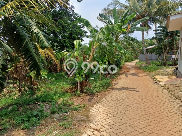 Tanah Dijual Lokasi Cisauk, Tangerang Luas 638m2 Legalitas Aman Tanah Dijual Lokasi Cisauk, Tangerang Luas 638m2 Legalitas Aman
