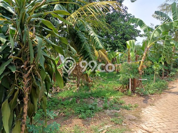 Tanah Dijual Lokasi Cisauk, Tangerang Luas 638m2 Legalitas Aman Tanah Dijual Lokasi Cisauk, Tangerang Luas 638m2 Legalitas Aman