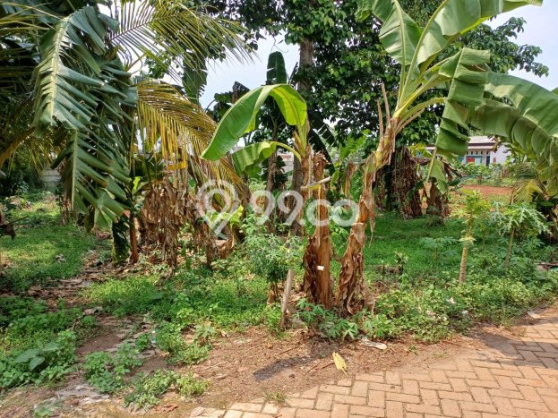 Tanah Dijual Lokasi Cisauk, Tangerang Luas 638m2 Legalitas Aman Tanah Dijual Lokasi Cisauk, Tangerang Luas 638m2 Legalitas Aman